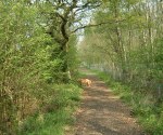 dscf0883